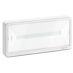 Schneider Electric - Lampe de Secours murale Schneider exw light 110 Mode se/sa IP42 OVA44010