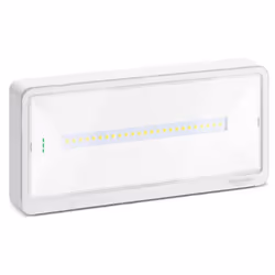 Lampe de secours Schneider EXW LIGHT série 110, jusqu'à 3 heures d'autonomie, montage mural, design ultra-compact, avec les c ...