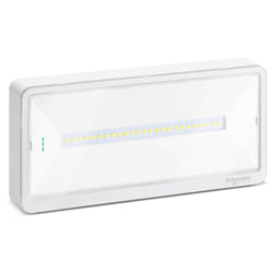 Schneider Electric - Lampe de Secours murale Schneider exw light 110 Mode se/sa IP65 OVA44011