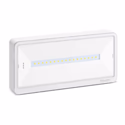Exiway Light Bloc autonome d'éclairage de sécurité (BAES) AMBIANCE SATI, IP42, IK09, autonomie 1 h, accumulateur LiFePO4, mat ...