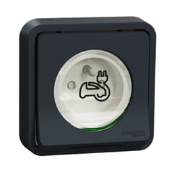 Schneider Electric - Mureva Styl - Prise courant 2P+T renforcee - encastre - IP55 - IK08 - ev - gris (MUR36011)