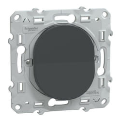 Schneider Electric - Ovalis - bouton poussoir à fermeture - 10A - Anthracite (S340206)
