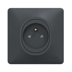 Schneider Electric - Prises 2P+T 16A encastré anthracite à puit complete avec plaque bornes auto fixation vis ovalis