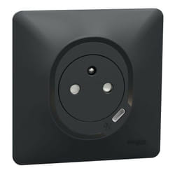 Schneider Electric - Ovalis - combi 2P+T 16A affleurante+chargeur usb-c 10,5W - connex. auto - Anth (S340089)