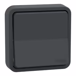 Mureva Styl - Va-et-vient - encastré - produit complet livré avec cadre - 10AX 250VCA - gris RAL 7016 - IP55 - IK08