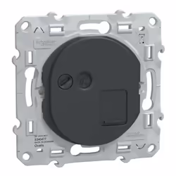 Ovalis - prise de communication simple - anthracite - RJ45 (8 contacts) Cat.6a