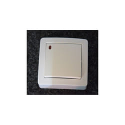 Bouton-Poussoir lumineux 10A saillie blanc cassé complet avec cadre ALB61441 250V néon faible conso ALREA ALB62052