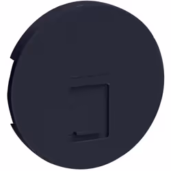Odace Anthracite, enjoliveur seul prise RJ45 simple