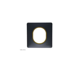 Schneider Electric - Plaque de finition 1 poste Ovalis Schneider Finition: Anthracite bague effet laiton