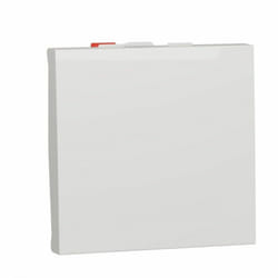 Schneider NU320318 interrupteur polaire 2 modules