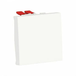 Schneider Electric - Traversée de 2 modules polaires schneider NU320518