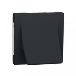 Sortie de câble 2 modules anthracite schneider NU386254