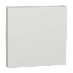 Schneider Electric - Unica - enjoliveur interrupteur ou bouton-poussoir - 2 mod - Blanc (NU920018)
