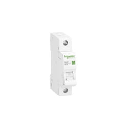 Schneider Electric - R9F23120 disjoncteur monophasé 20 a 230 v