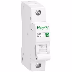 Schneider Electric R9F23132, Type B, IP20, IP40