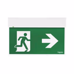 Lampe d'urgence drapeau Schneider ExEasysign, 1,5 h, distance de visibilité de 24 m, Fonctionnement Permanent (SA) ou d'Urgen ...