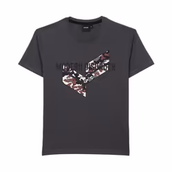 KAPORAL - T-shirt gris Garçon 100% coton EWAG