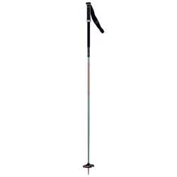 Batons De Ski Rossignol Freeride Pro Safety W