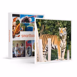 Coffret Cadeau SMARTBOX - Entrée au Parc Bellewaerde en 2024 pour 1 adulte - Entrée au Parc Bellewaerde en 2024 pour 1 adulte