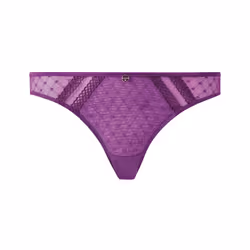 Morgan Culotte CLEO - violet - 40