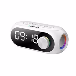 Blaupunkt Haut-parleur portable