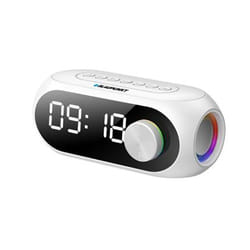 Blaupunkt Haut-parleur portable