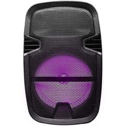 Enceinte amplifiée 15W LED avec trépied - Blaupunkt BLP3975-133 - Noir