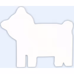Clairefontaine Symbole Ours 12Cm, 5 an(s), Papier, Blanc, 1 pièce(s)
