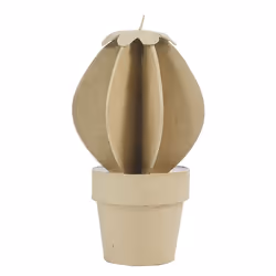 Clairefontaine Cactus Boule