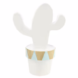 Clairefontaine Cactus Mexicain