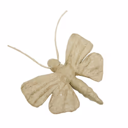 Clairefontaine Papillon, 5 an(s), Papier
