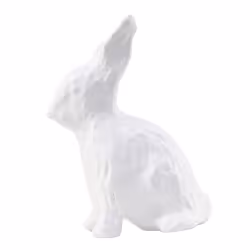 Clairefontaine Mini-Kit Lapin, 5 an(s), Papier, Colle, Vert