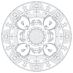 Clairefontaine Graffy Pop Mandala, Animaux
