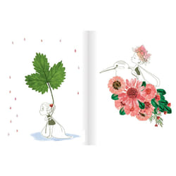 Clairefontaine Boîte Créative Presse Fleurs Et Herbier