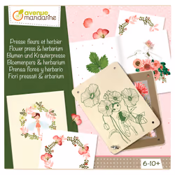 Clairefontaine Boîte Créative Presse Fleurs Et Herbier