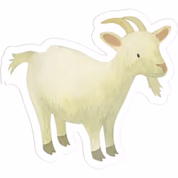 Clairefontaine Mimi Stick', Sach 12 Pl 21X16Cm, Ferme