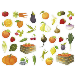 Clairefontaine Mimi Stick', Sach 12 Pl 21X16Cm, Fruits Et Légumes