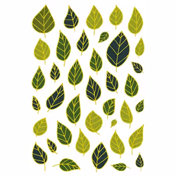 Clairefontaine Decoraty, Sach 6 Pl 14,8X21Cm, Feuilles