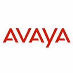 Avaya IP500 T1 Channels Add 2