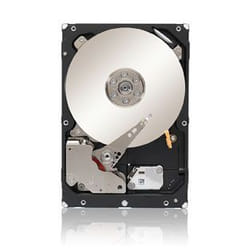 Seagate Constellation ST33000650NS disque dur 3.5" 3 To Série ATA III