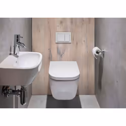 Description générale Le BATIPANEL est une solution innovante pour l'habillage de bâti-support et de WC suspendus. Conçu pour ...