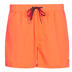 Short de bain Quiksilver Everyday Volley 15