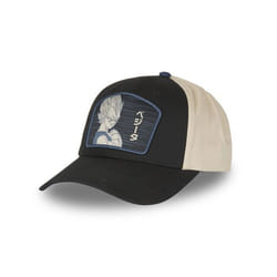 Casquettes adulte baseball fermeture snapback Dragon Ball Z