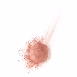 Bourjois Boite Ronde Blush 85 Sienne 2.5g