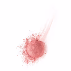 Bourjois Boite Ronde Blush 95 Rose de Jaspe 2.5g