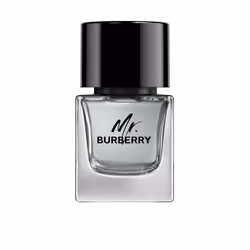 Mr Burberry eau de toilette vapeur 50 ml