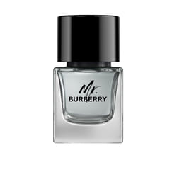 Mr Burberry eau de toilette vapeur 50 ml