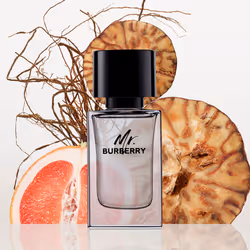 Mr Burberry eau de toilette vapeur 50 ml