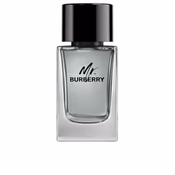 Mr Burberry eau de toilette vaporisateur 100 ml