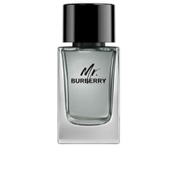 Mr Burberry eau de toilette vaporisateur 100 ml